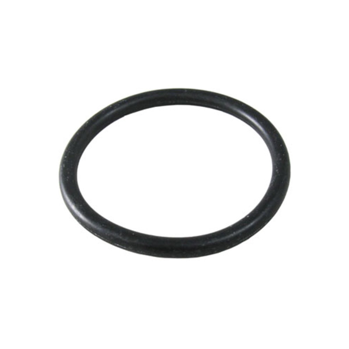 Waterco 50mm Oring