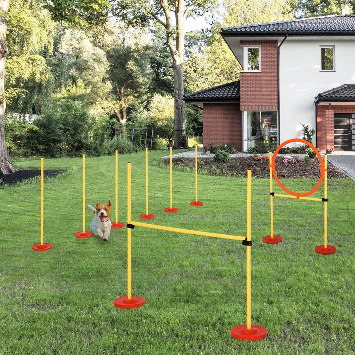 Dog Agility Set, 3-in-1 Hurdles with Carry Bag, Yellow