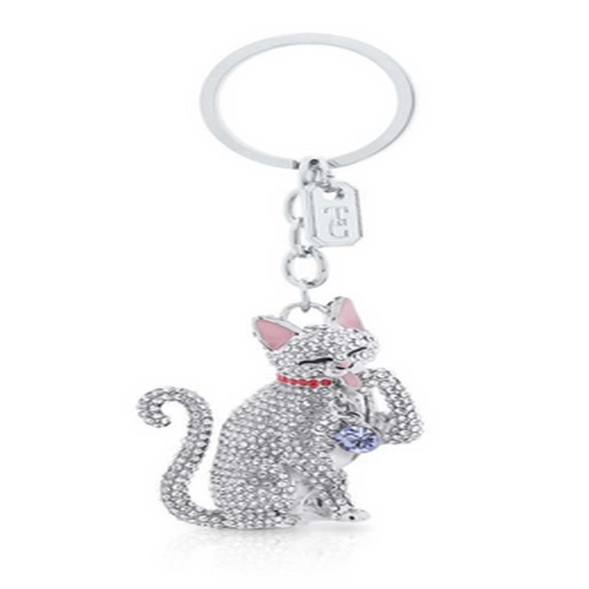 Tipperary C Keyring - Cat