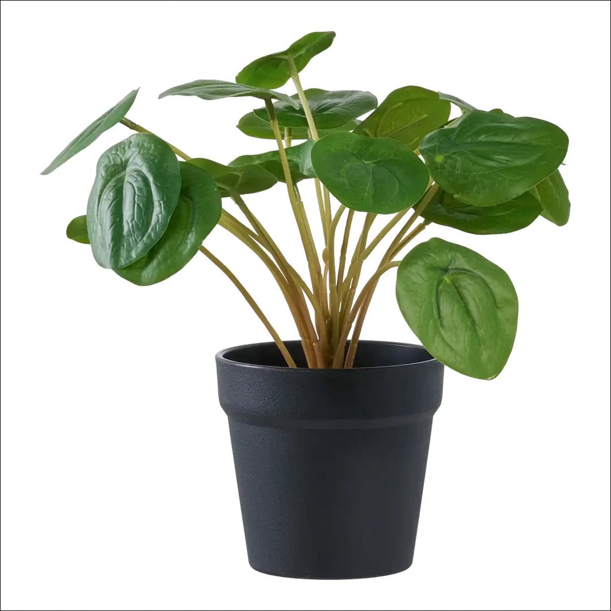 Dirbtinis augalas, alias, auktis: 28 cm RD1236